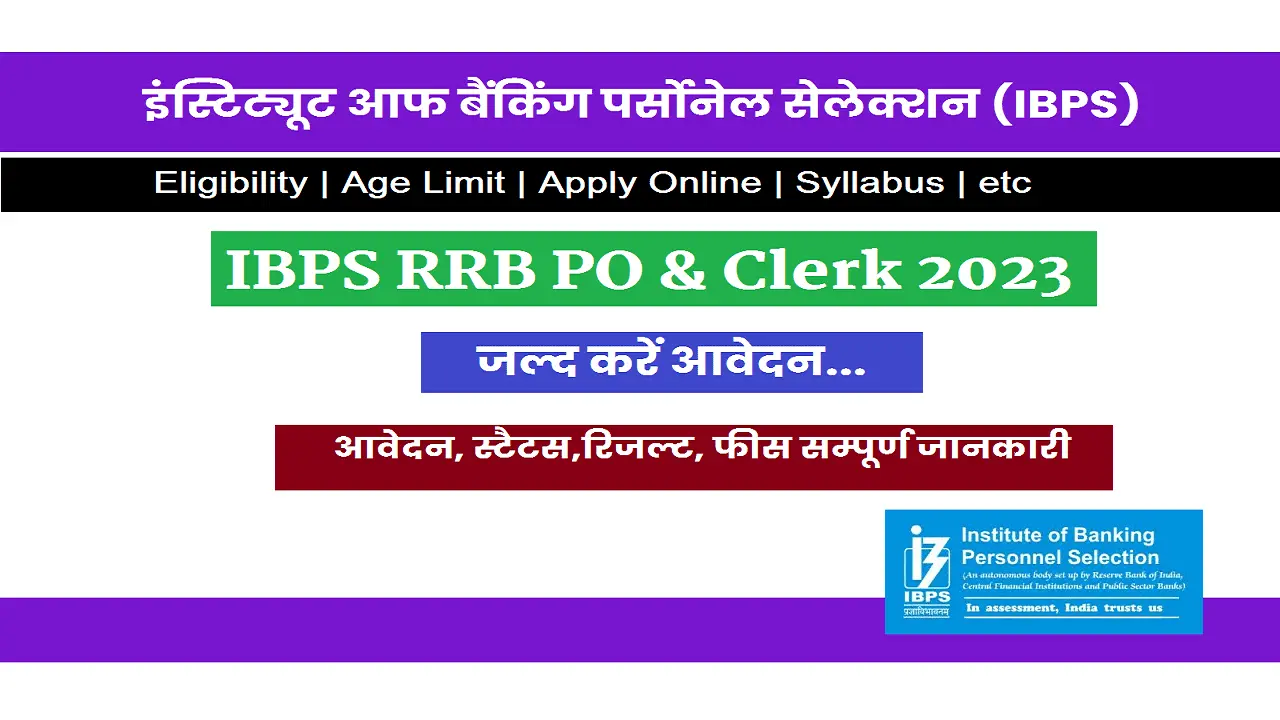 IBPS RRB XII Recruitment 2023 ROJGARD